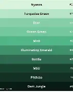 GREEN Active 49 Smart Watch