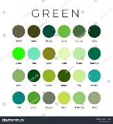 GREEN Active 49 Smart Watch