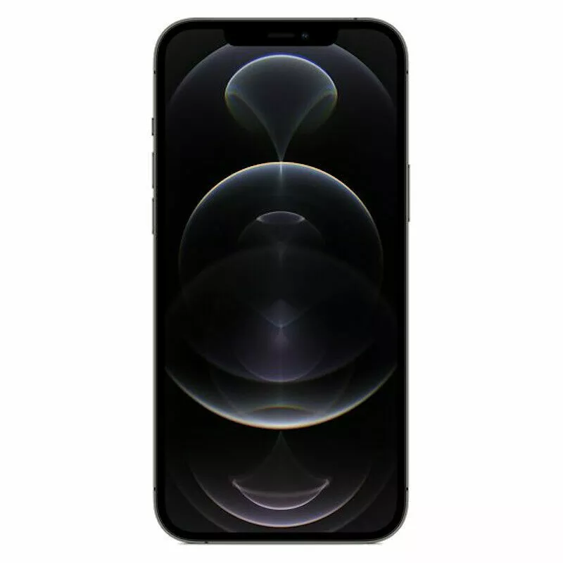 iPhone 12 Pro Max (256GB)